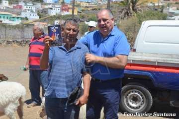 Muestra de ganado de las fiestas del patrono de Telde (Foto  Francisco Javier Santana)